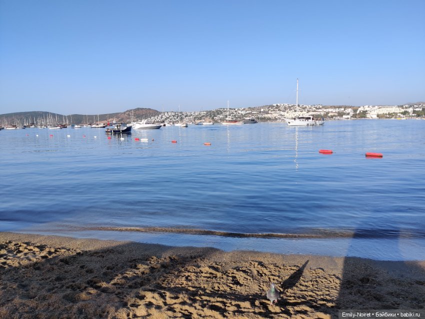 Турция, Бодрум (часть 1) — Туризм и путешествия: фотоотчеты из поездок (фото 5)