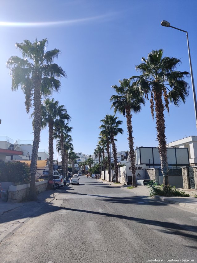 Турция, Бодрум (часть 2) — Туризм и путешествия: фотоотчеты из поездок