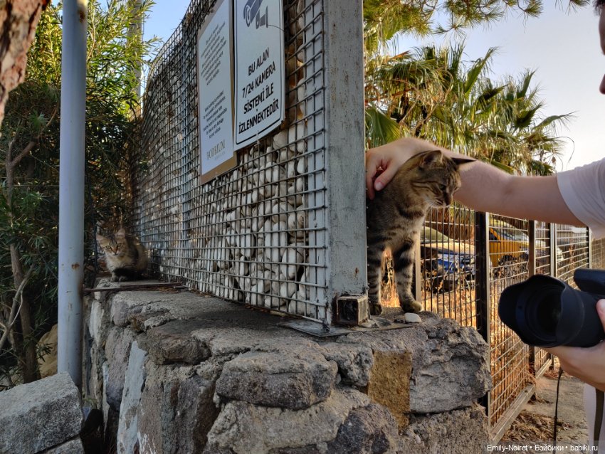 Турция, Бодрум (часть 2) — Туризм и путешествия: фотоотчеты из поездок