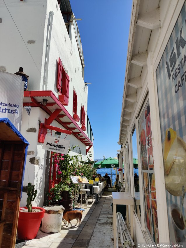 Турция, Бодрум (часть 5) — Туризм и путешествия: фотоотчеты из поездок