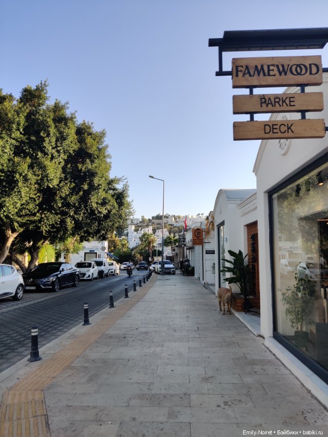 Турция, Бодрум (часть 2) — Туризм и путешествия: фотоотчеты из поездок