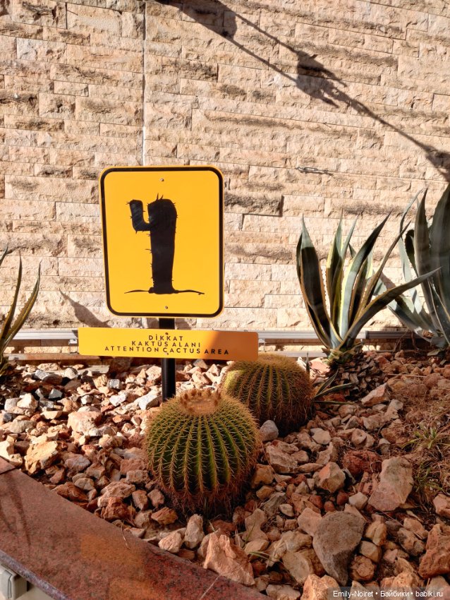 Турция, Бодрум (часть 2) — Туризм и путешествия: фотоотчеты из поездок