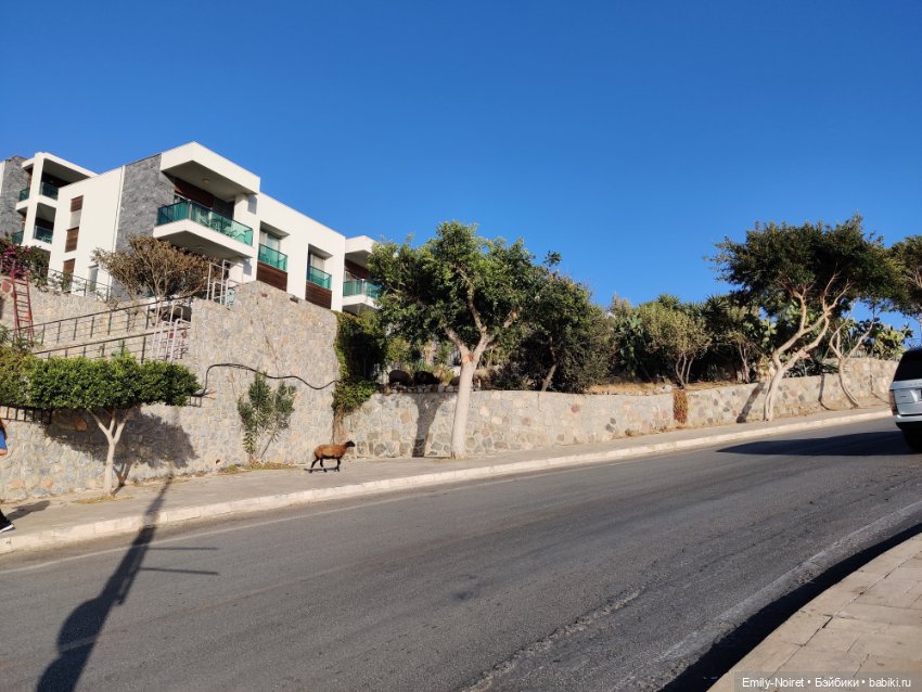 Турция, Бодрум (часть 3) — Туризм и путешествия: фотоотчеты из поездок