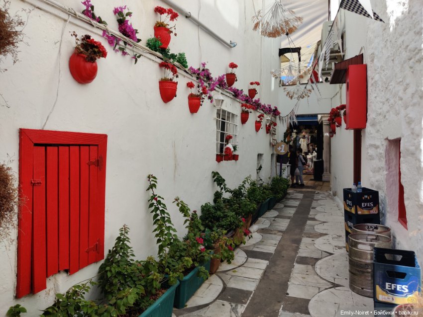 Турция, Бодрум (часть 5) — Туризм и путешествия: фотоотчеты из поездок