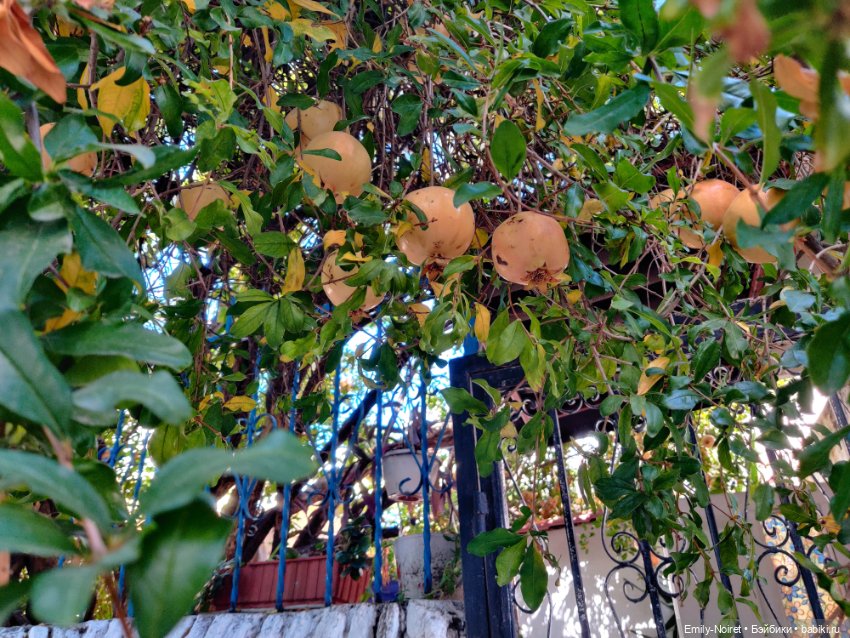 Турция, Бодрум (часть 5) — Туризм и путешествия: фотоотчеты из поездок