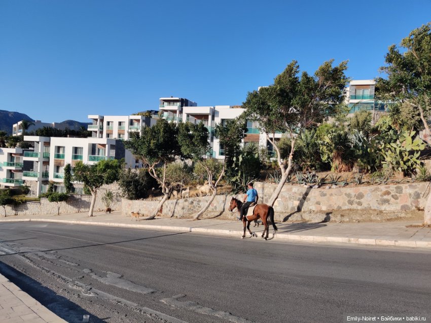 Турция, Бодрум (часть 3) — Туризм и путешествия: фотоотчеты из поездок