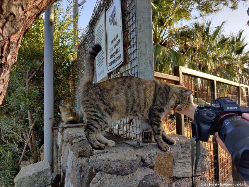 Турция, Бодрум (часть 2) — Туризм и путешествия: фотоотчеты из поездок