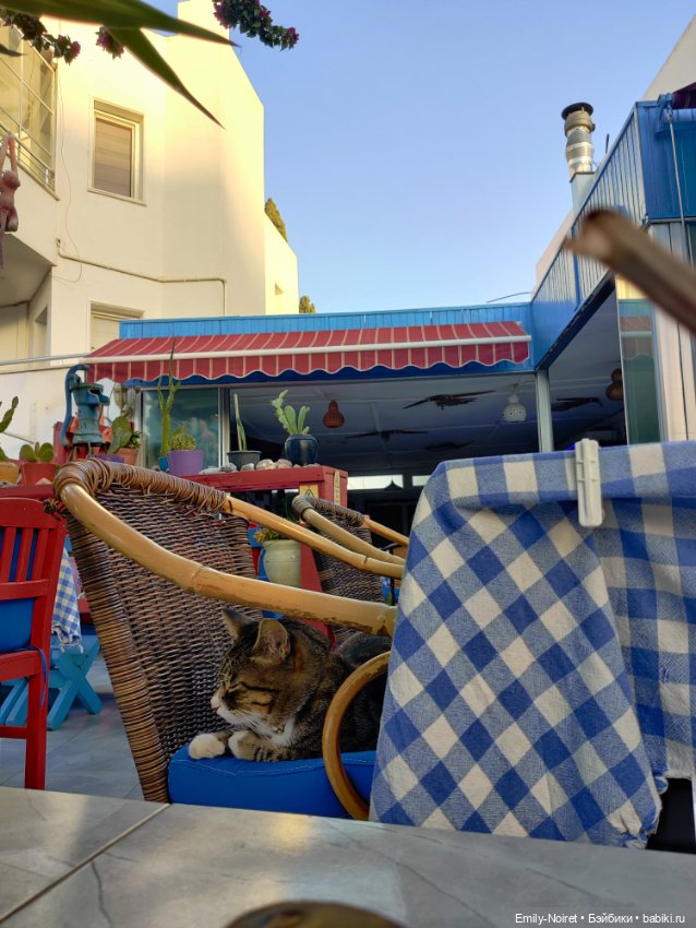 Турция, Бодрум (часть 2) — Туризм и путешествия: фотоотчеты из поездок