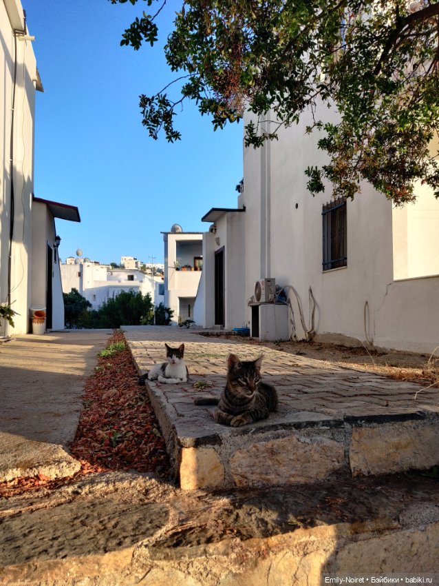 Турция, Бодрум (часть 2) — Туризм и путешествия: фотоотчеты из поездок