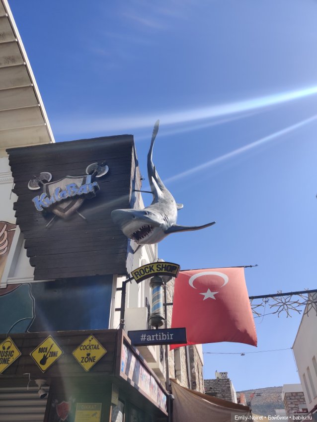 Турция, Бодрум (часть 5) — Туризм и путешествия: фотоотчеты из поездок