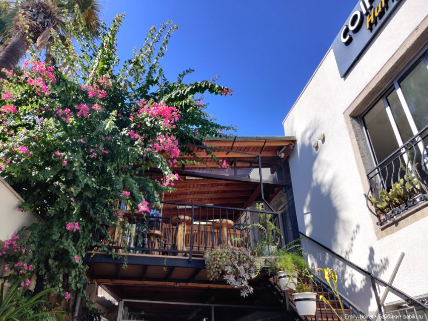 Турция, Бодрум (часть 5) — Туризм и путешествия: фотоотчеты из поездок