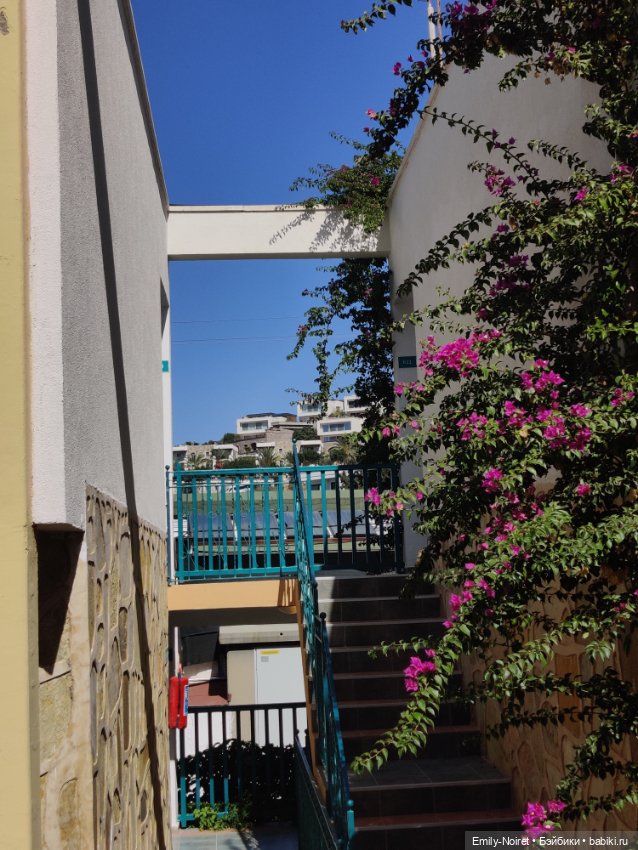 Турция, Бодрум (часть 4) — Туризм и путешествия: фотоотчеты из поездок (фото 6)