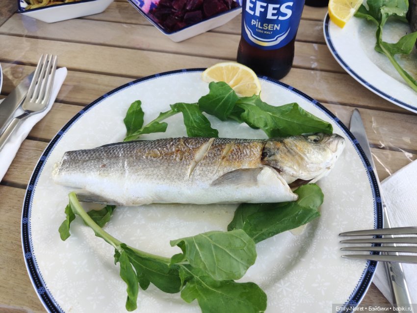 Турция, Бодрум (часть 7) — Туризм и путешествия: фотоотчеты из поездок