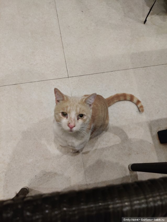 Турция, Бодрум (часть 4) — Туризм и путешествия: фотоотчеты из поездок