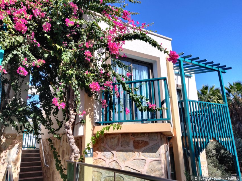 Турция, Бодрум (часть 4) — Туризм и путешествия: фотоотчеты из поездок (фото 7)