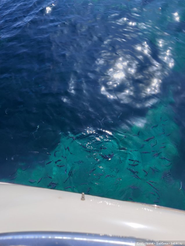 Турция, Бодрум (часть 7) — Туризм и путешествия: фотоотчеты из поездок