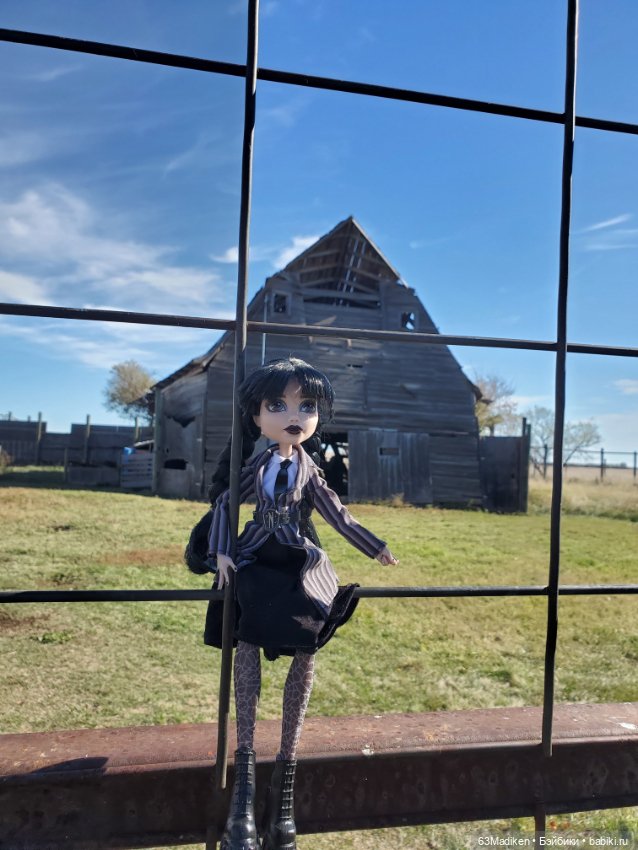 Пелагея и серый бульдог — Куклы Monster High и Ever After High: G1 (фото 7)