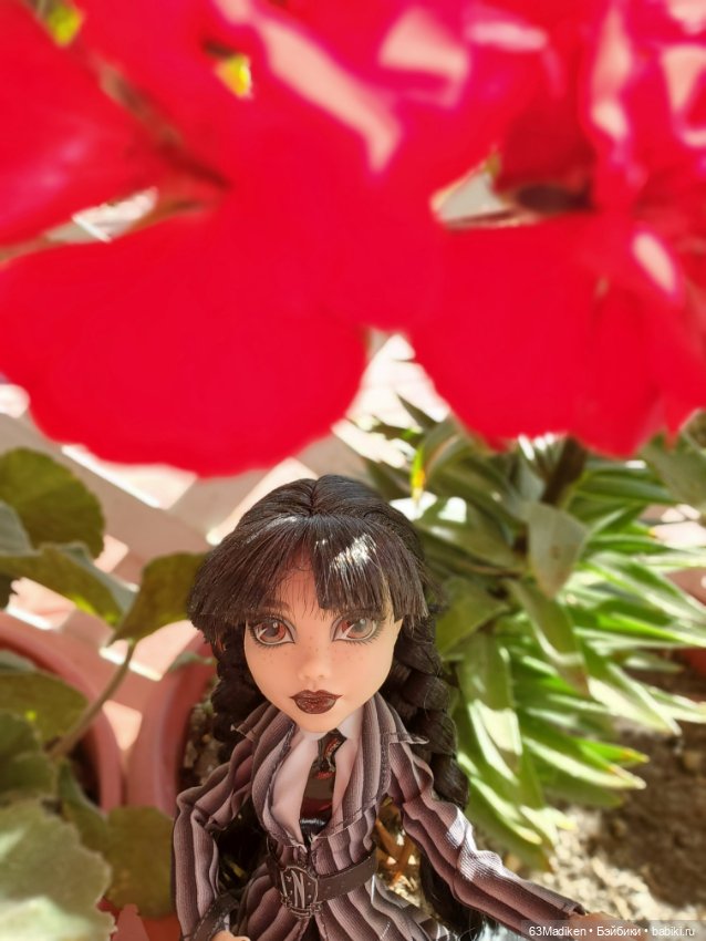 Пелагея и серый бульдог — Куклы Monster High и Ever After High: G1 (фото 9)