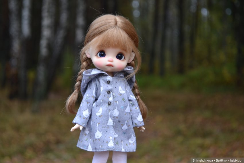 Грустная осень — Разные шарнирные куклы (не БЖД): редкие (фото 2)