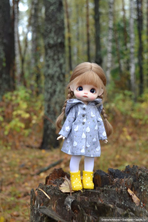 Грустная осень — Разные шарнирные куклы (не БЖД): редкие (фото 4)