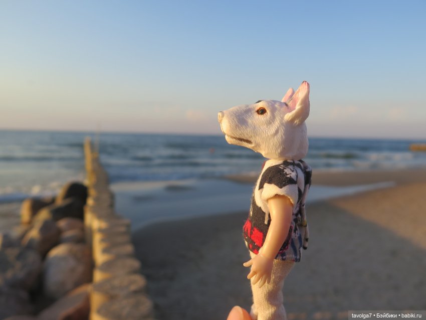 Очень интересная банда мальчишек на Балтике