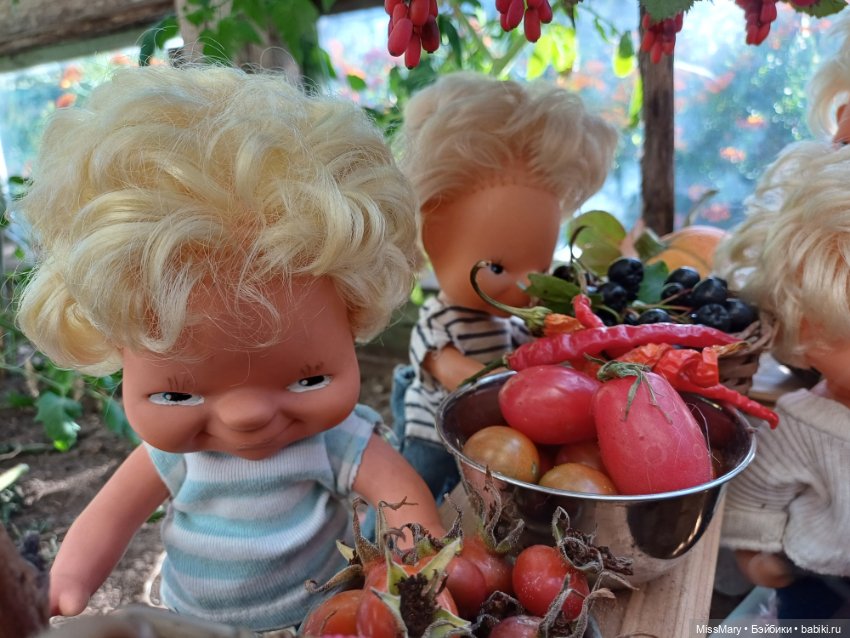 Как в деревне Васильки на ярмарке гуляли