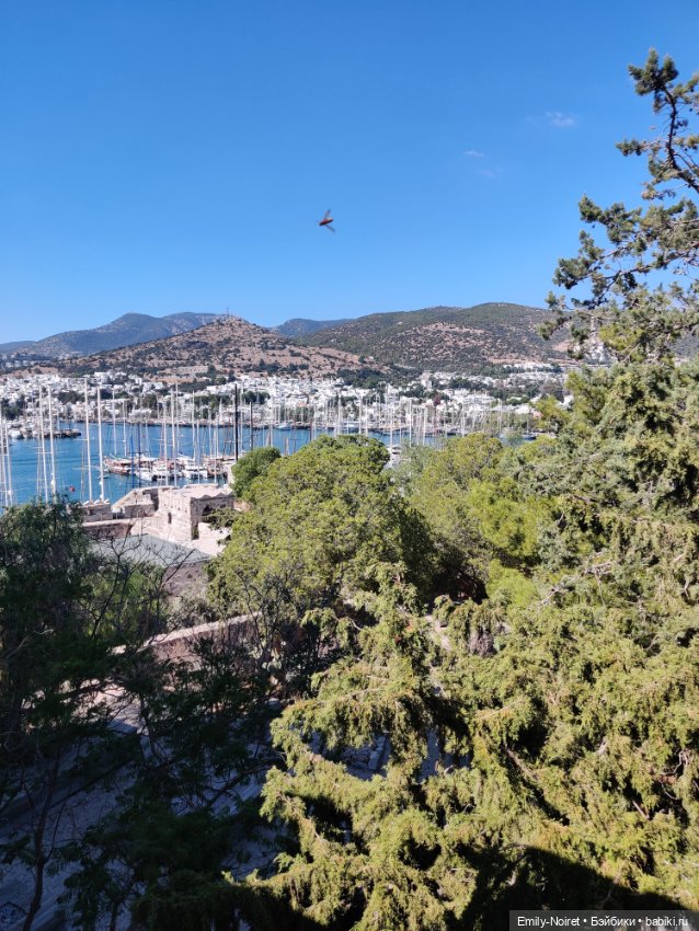 Турция, Бодрум (часть 9) — Туризм и путешествия: фотоотчеты из поездок (фото 9)