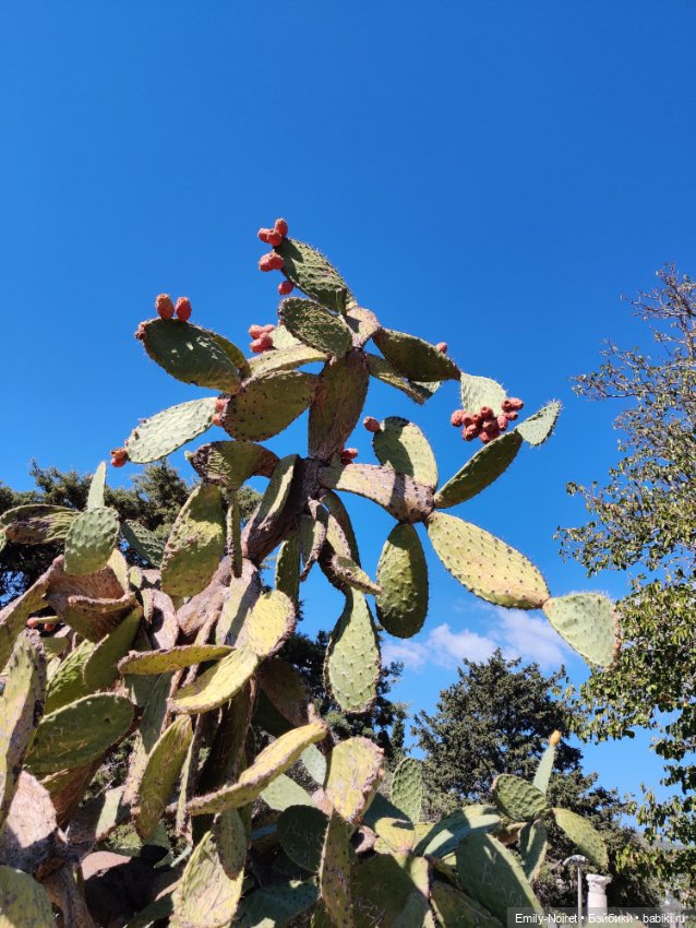 Турция, Бодрум (часть 9) — Туризм и путешествия: фотоотчеты из поездок