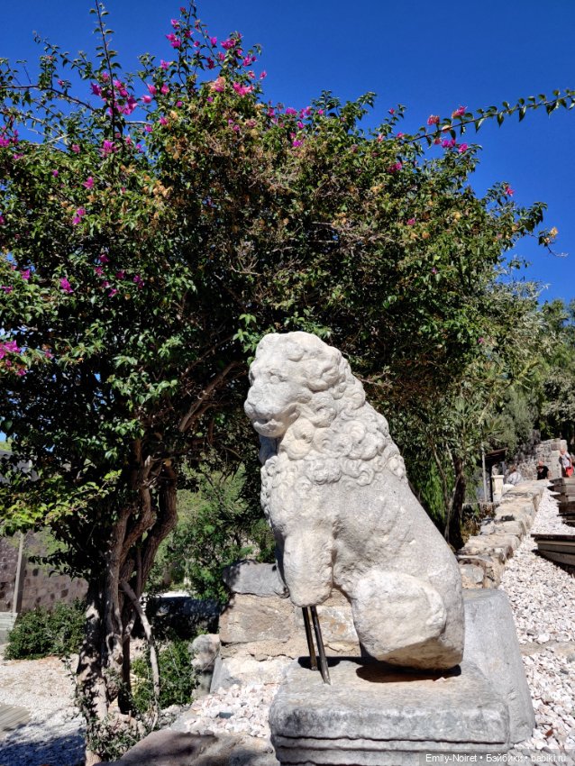 Турция, Бодрум (часть 9) — Туризм и путешествия: фотоотчеты из поездок