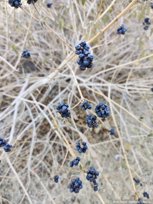 Турция, Бодрум (часть 10)