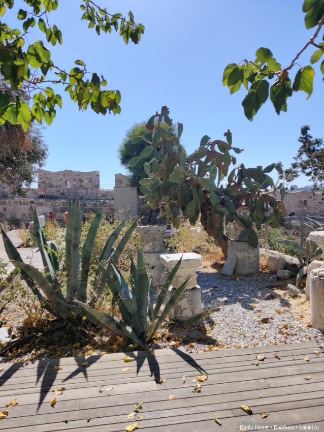 Турция, Бодрум (часть 9) — Туризм и путешествия: фотоотчеты из поездок