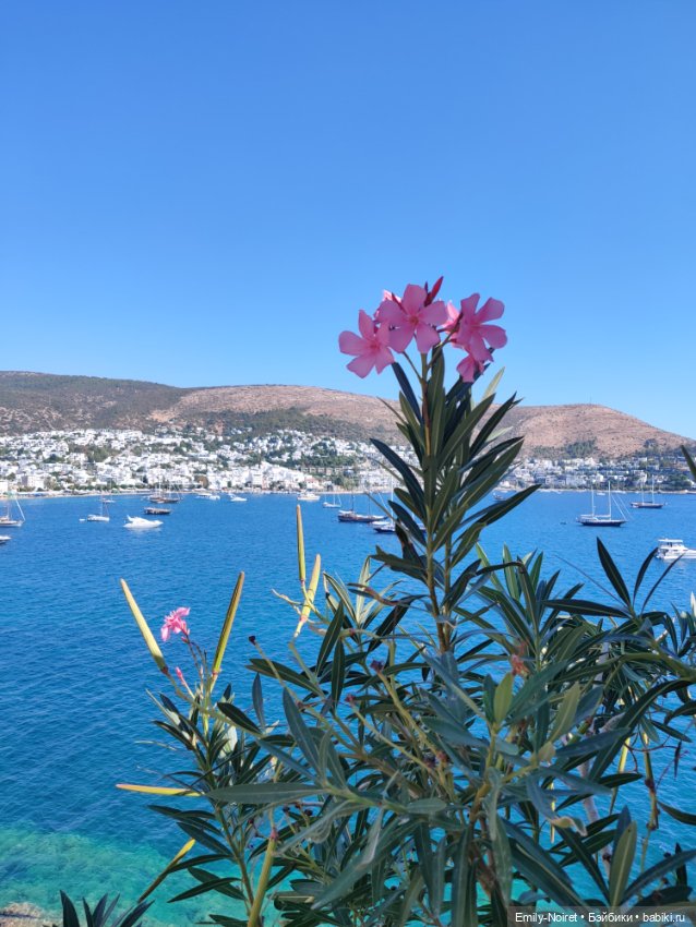 Турция, Бодрум (часть 9) — Туризм и путешествия: фотоотчеты из поездок