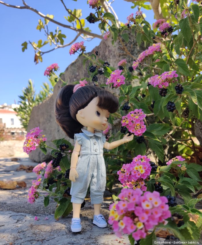 Турция, Бодрум (часть 10) (фото 9)