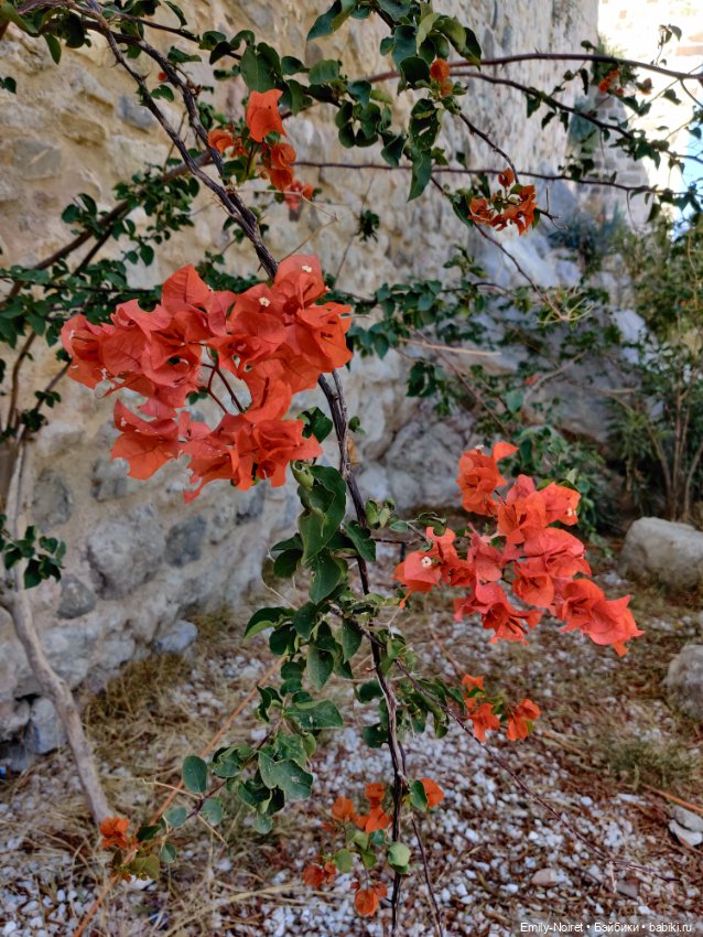 Турция, Бодрум (часть 9) — Туризм и путешествия: фотоотчеты из поездок