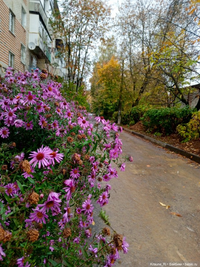 Марафонный город или Прогулка верхом (фото 9)