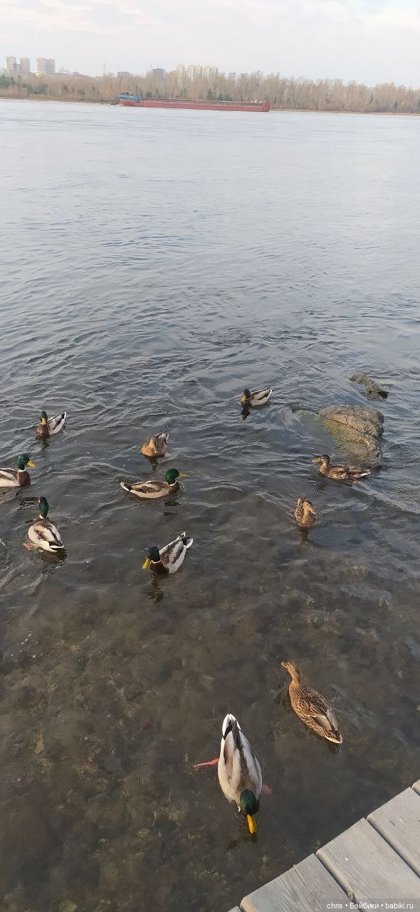 Коралин и прогулка по набережной (Coraline action figure) (фото 6)