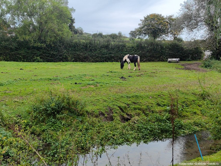 Музыкальная История 157 — Туризм и путешествия: фотоотчеты из поездок