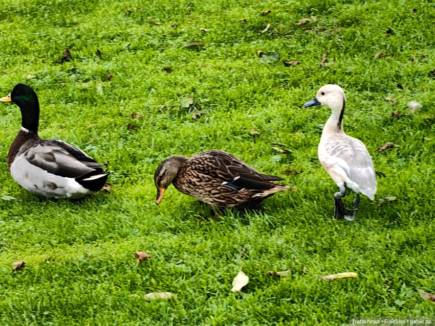 Музыкальная История 157 — Туризм и путешествия: фотоотчеты из поездок