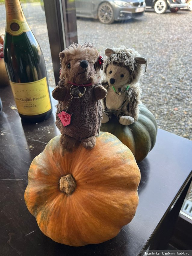 Музыкальная История 157 — Туризм и путешествия: фотоотчеты из поездок (фото 5)