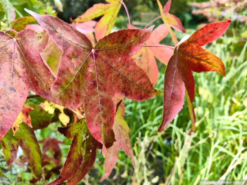 Музыкальная История 157 — Туризм и путешествия: фотоотчеты из поездок