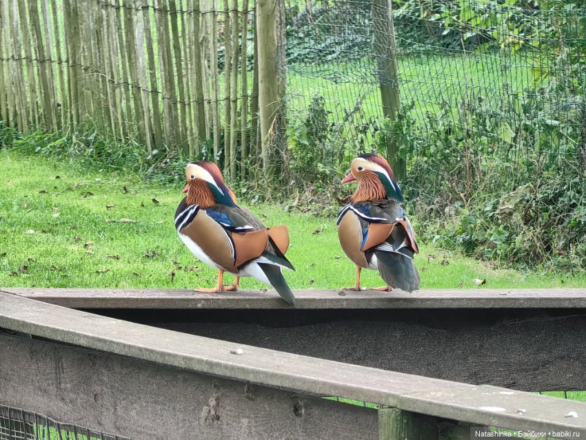 Музыкальная История 157 — Туризм и путешествия: фотоотчеты из поездок