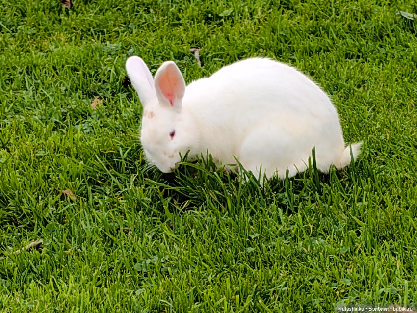 Музыкальная История 157 — Туризм и путешествия: фотоотчеты из поездок