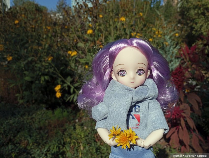 Новая новенькая — Аниме куклы (MJD/Винил): Imomo