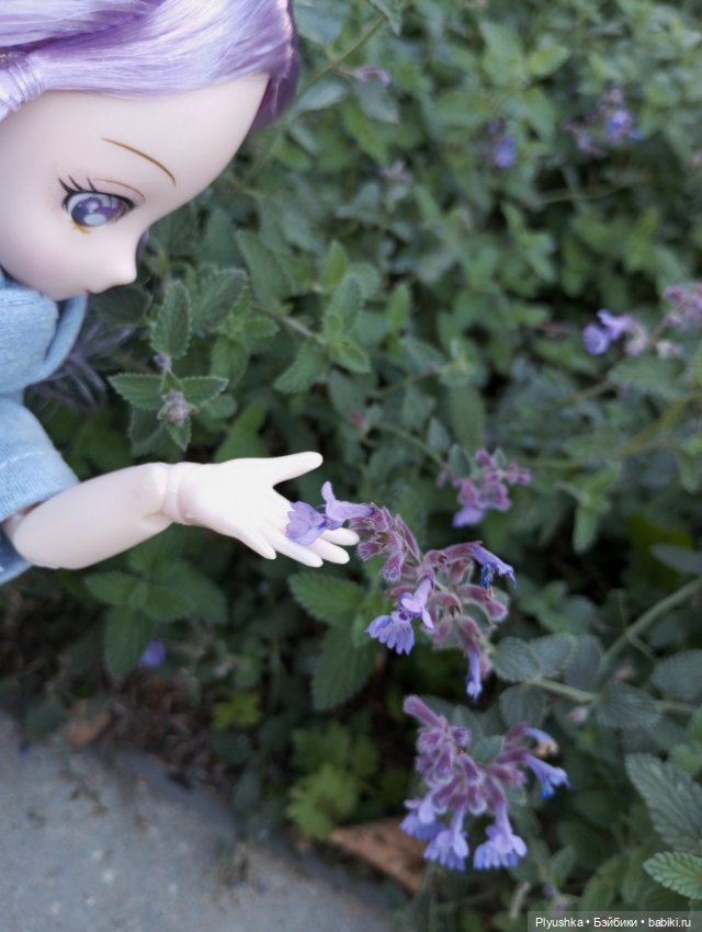 Новая новенькая — Аниме куклы (MJD/Винил): Imomo (фото 8)