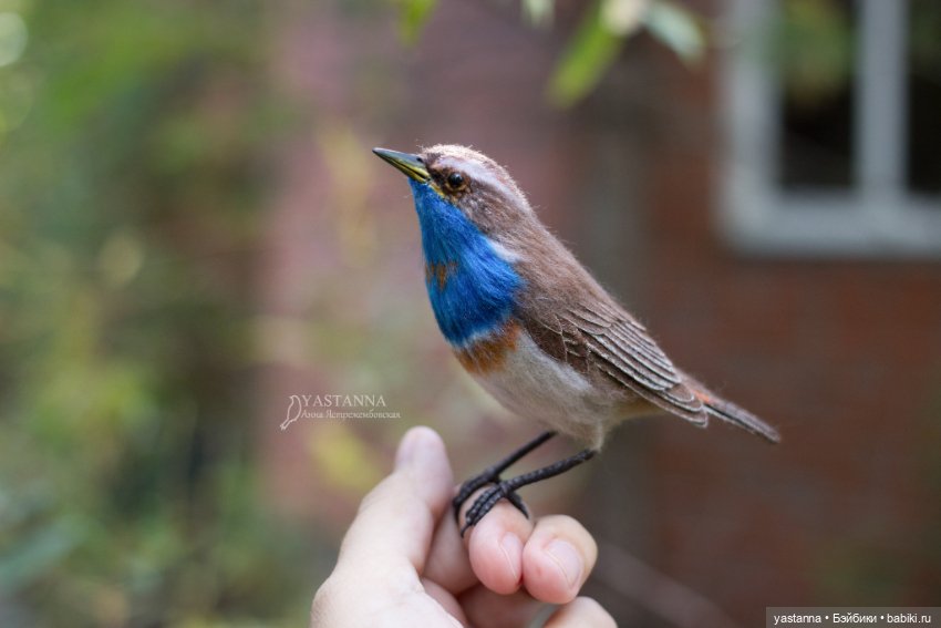 Варакушечка — Валяные игрушки из шерсти: сухое валяние