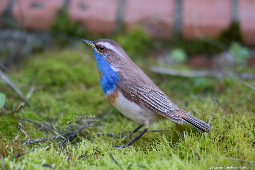 Варакушечка — Валяные игрушки из шерсти: сухое валяние (фото 3)