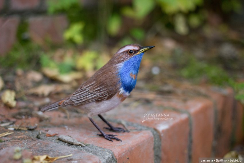 Варакушечка — Валяные игрушки из шерсти: сухое валяние