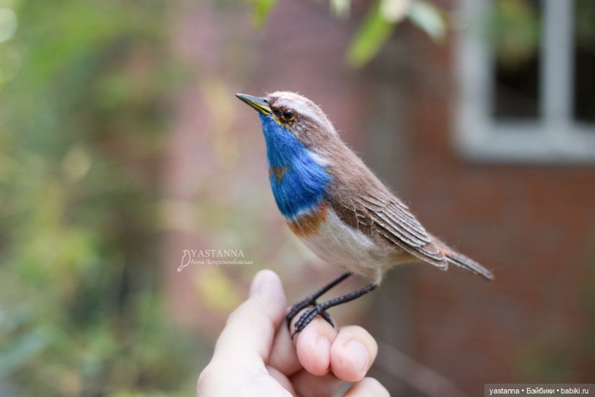 Варакушечка — Валяные игрушки из шерсти: сухое валяние