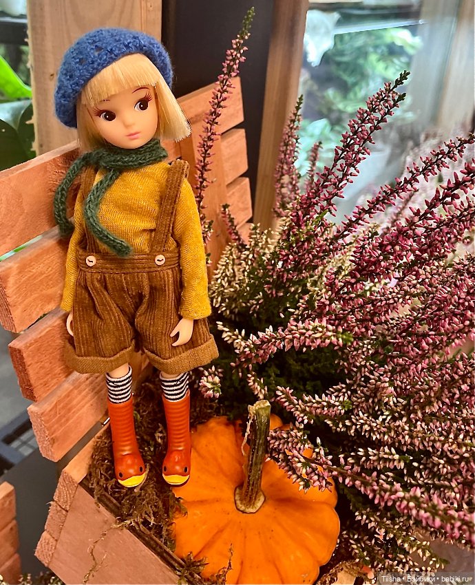 Осенняя Ликка — Куклы Takara Tomy (Такара): Licca (Ликка)