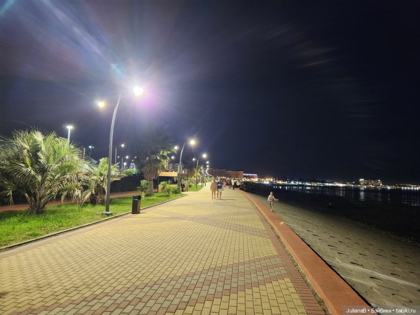 Мышь лабораторная. Сочи, Сириус (фото 3)